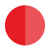 Logo of the company Papaya Global